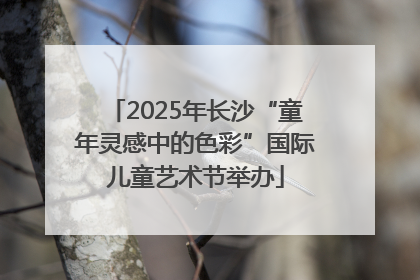 2025年长沙“童年灵感中的色彩”国际儿童艺术节举办