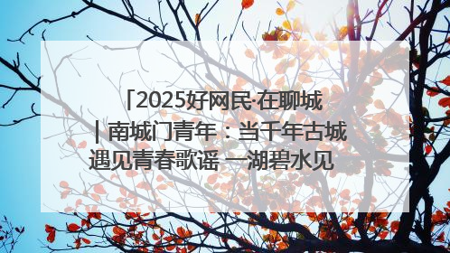 2025好网民·在聊城｜南城门青年：当千年古城遇见青春歌谣 一湖碧水见证的“聊城式浪漫”