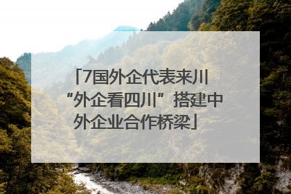 7国外企代表来川 “外企看四川”搭建中外企业合作桥梁