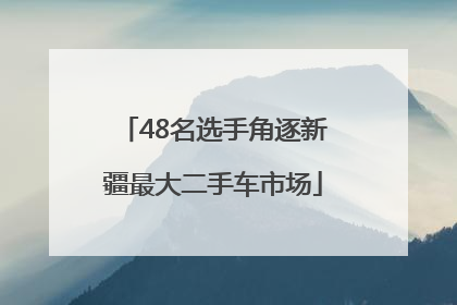 48名选手角逐新疆最大二手车市场