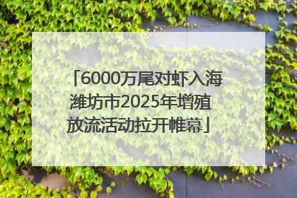 6000万尾对虾入海 潍坊市2025年增殖放流活动拉开帷幕