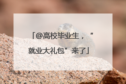 @高校毕业生，“就业大礼包”来了