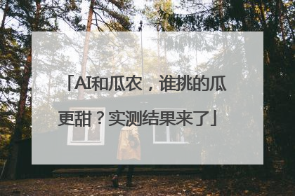 AI和瓜农，谁挑的瓜更甜？实测结果来了