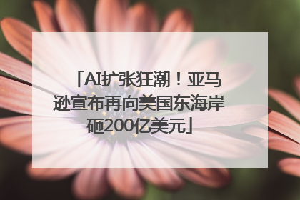 AI扩张狂潮！亚马逊宣布再向美国东海岸砸200亿美元