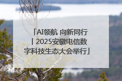 AI领航 向新同行丨2025安徽电信数字科技生态大会举行