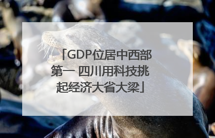 GDP位居中西部第一 四川用科技挑起经济大省大梁