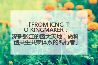 FROM KING TO KINGMAKER：深耕张江的盛大天地，做科创共生共荣体系的践行者