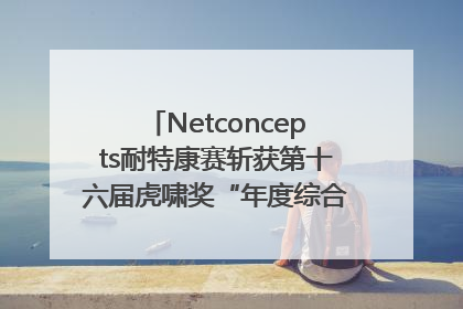Netconcepts耐特康赛斩获第十六届虎啸奖“年度综合服务商”大奖
