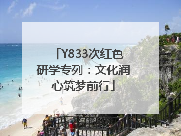 Y833次红色研学专列：文化润心筑梦前行